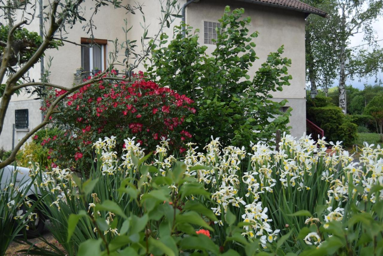 Le Nid De L'Ecureuil Bed and Breakfast Brens  Εξωτερικό φωτογραφία