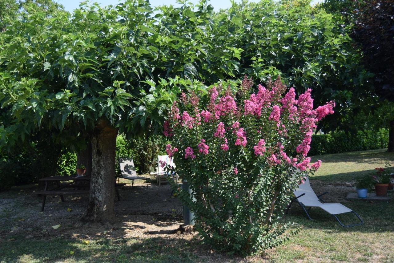 Le Nid De L'Ecureuil Bed and Breakfast Brens  Εξωτερικό φωτογραφία